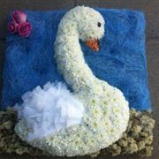 Swan Tribute