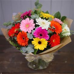 Gerbera Hand Tied