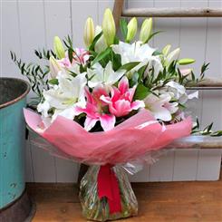 Lily Lane Hand Tied