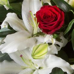 Romantic Florist Choice Hand Tied 