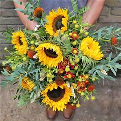 Sunflower Hand Tied 