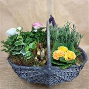 Spring Planted Trug