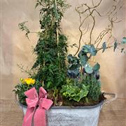 Country Trough Planter