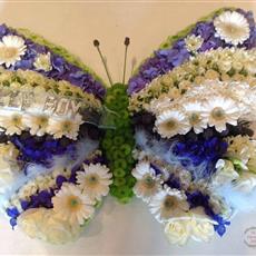 Butterfly blues