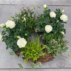 Natural planted wreath