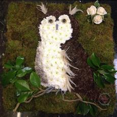 Owl tribute
